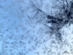 冰天雪地