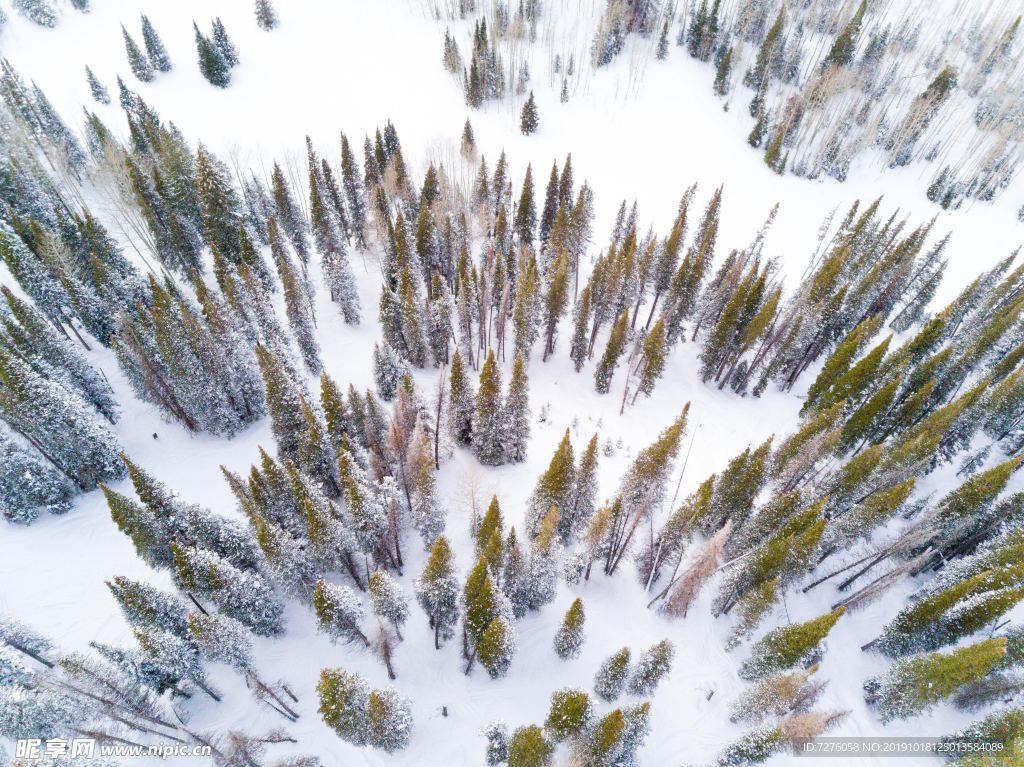 冰天雪地