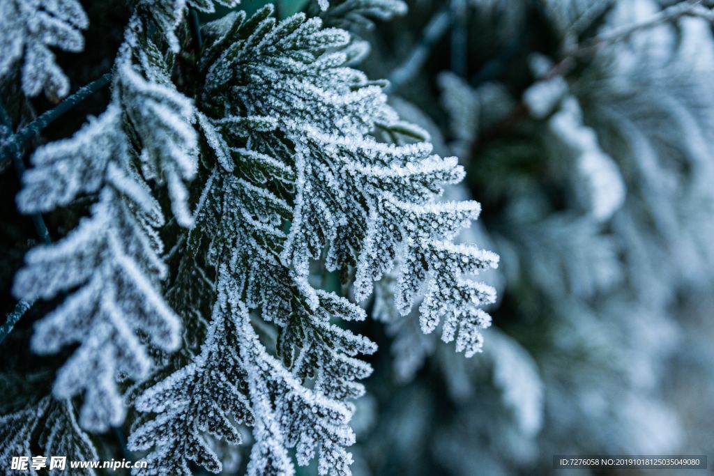 冰天雪地