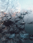 冰天雪地