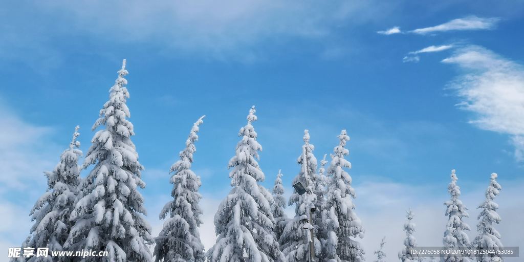 冰天雪地