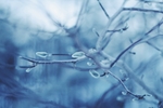 冰天雪地