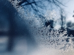冰天雪地