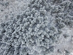 冰天雪地