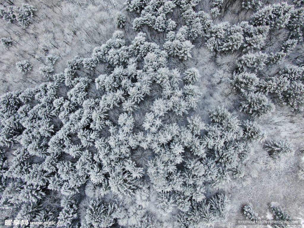 冰天雪地