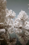 冰天雪地