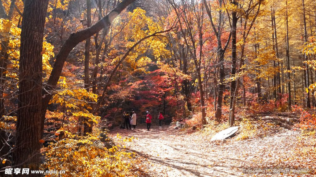 关门山   秋天景色  秋天