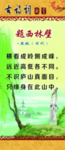 题西林壁