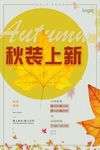 秋装上新