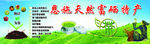 恩施富硒茶