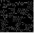 数学方程式