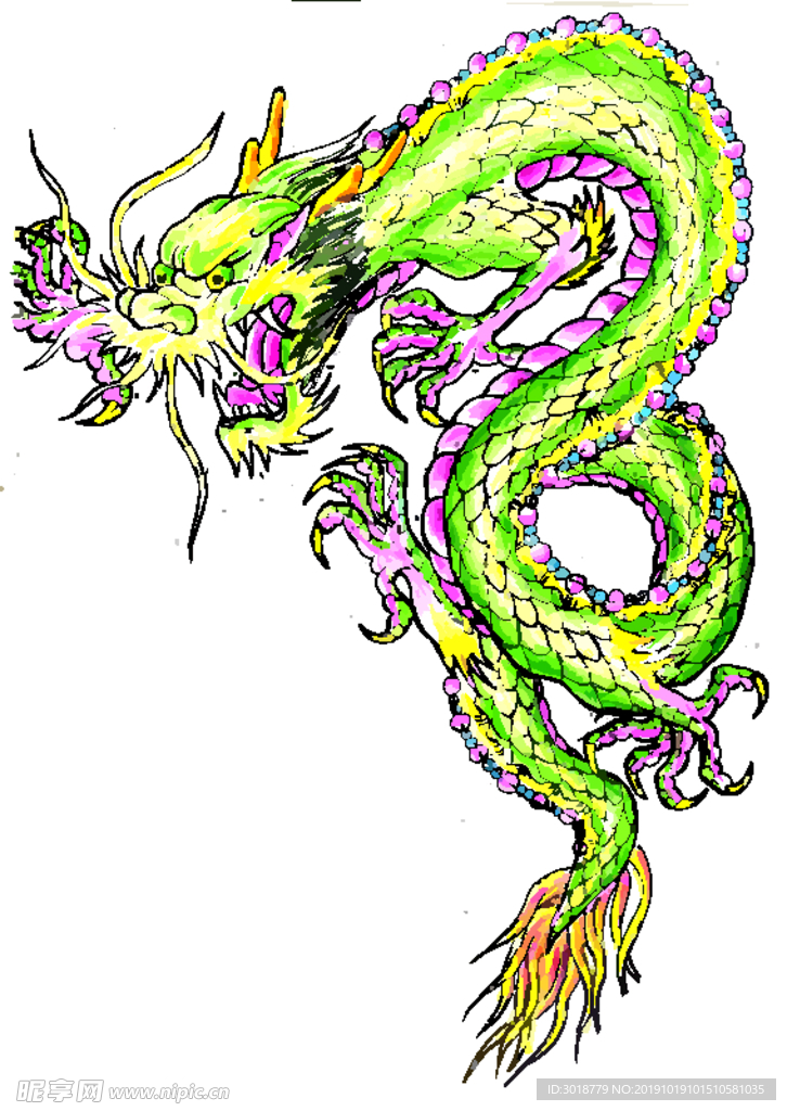 龙