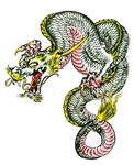龙