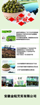 芡实展架