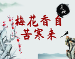 梅花香自苦寒来