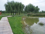 风景