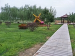风景