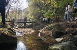 山林自然小河