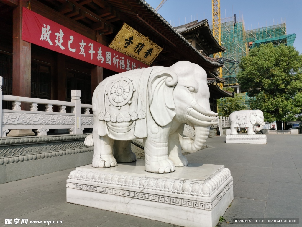 寺庙前的白象