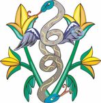 兽纹