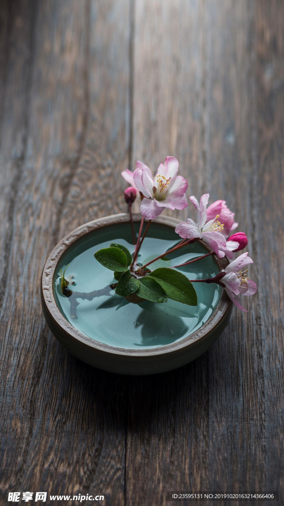 盆中花