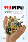 野生动物保护海报
