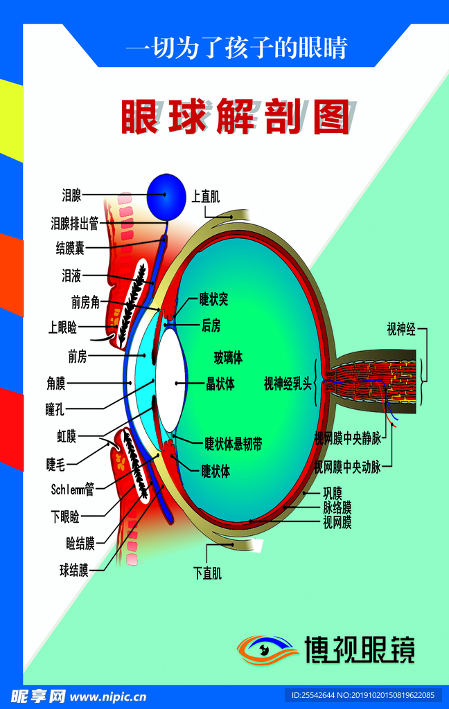 眼科