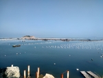 南澳岛海鲜养殖场