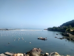 南澳岛海洋