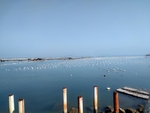 南澳岛海洋养殖场