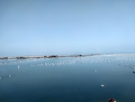 南澳岛海上渔场