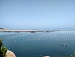 南澳岛海洋养殖场