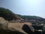 南澳岛海边森林景色