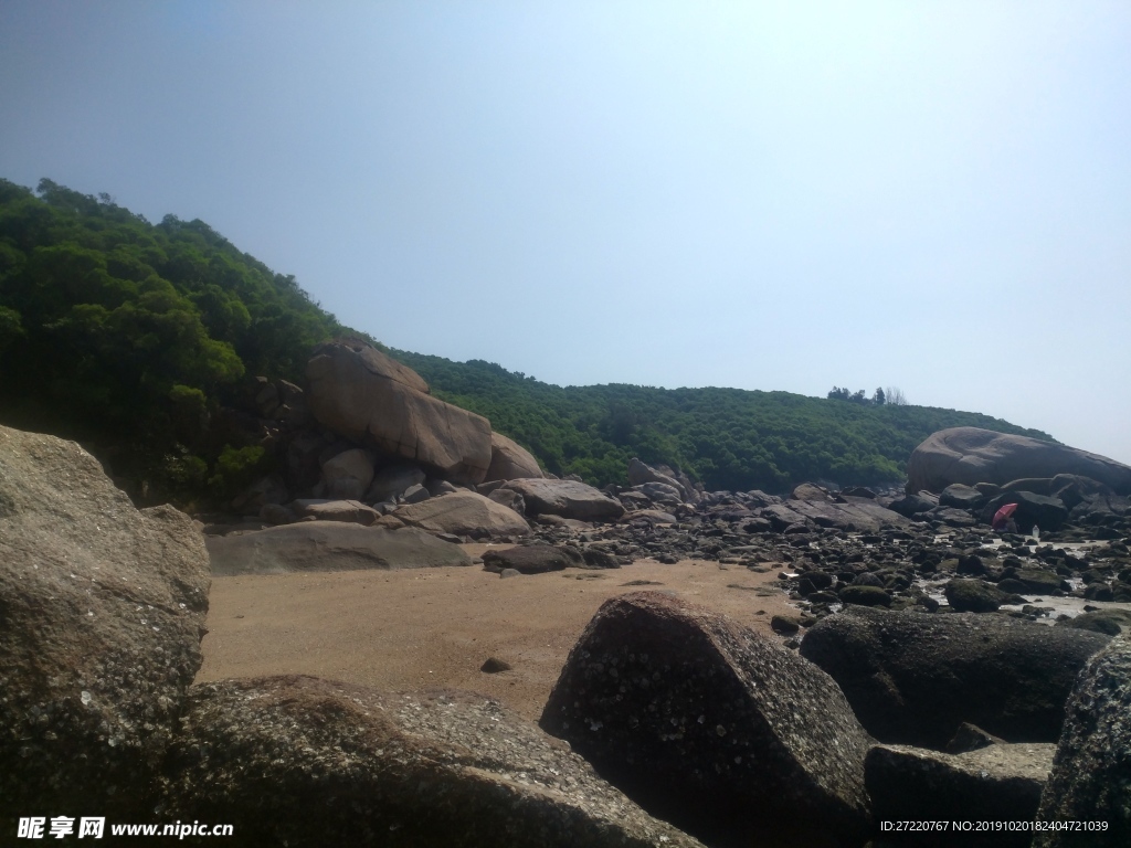 南澳岛海边森林景色