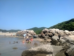 南澳岛退潮的海边