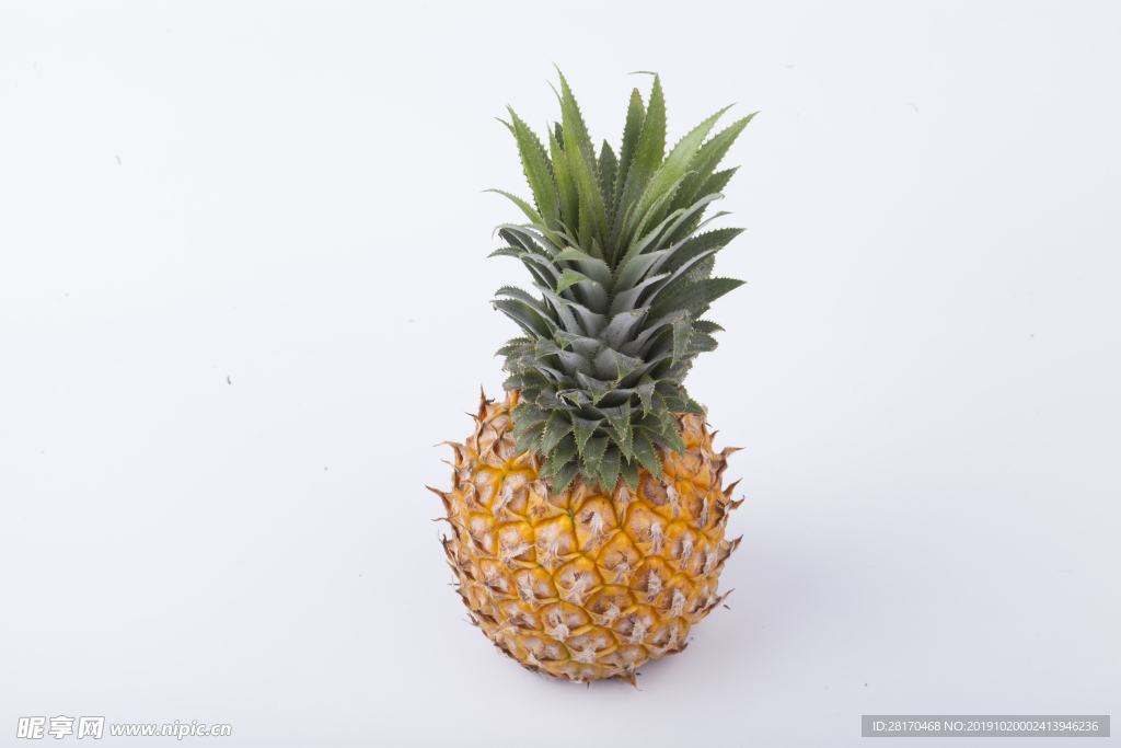 高清菠萝