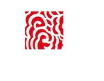 花纹
