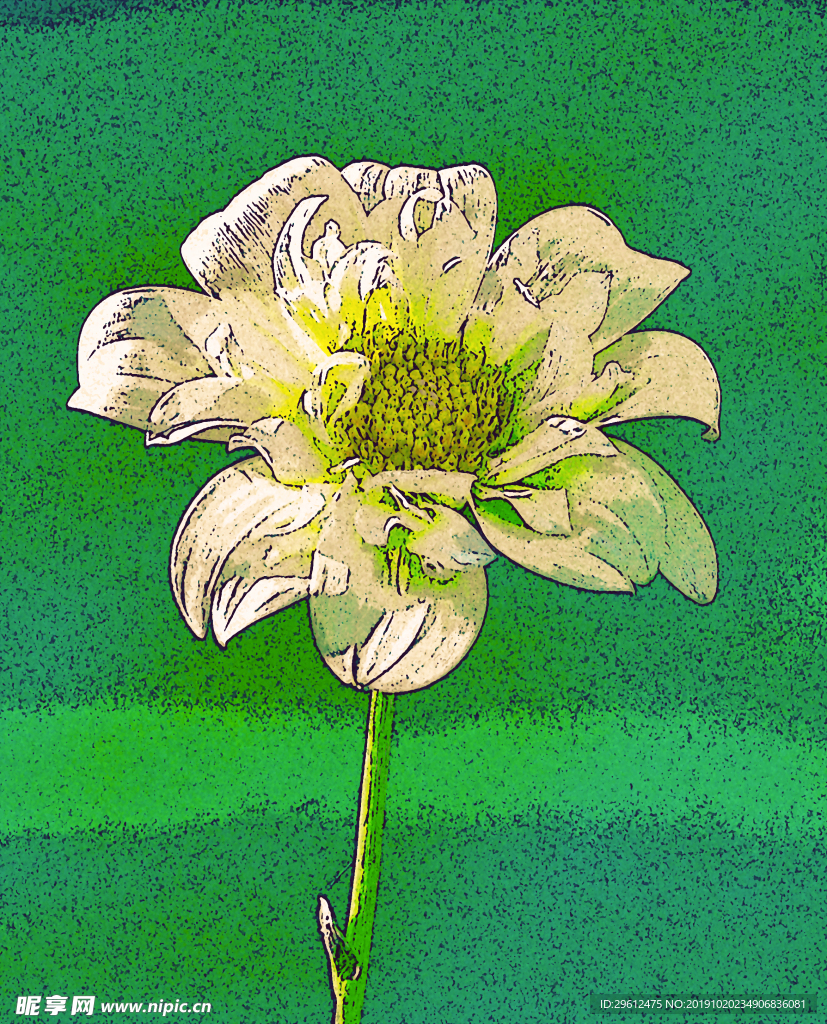 插画