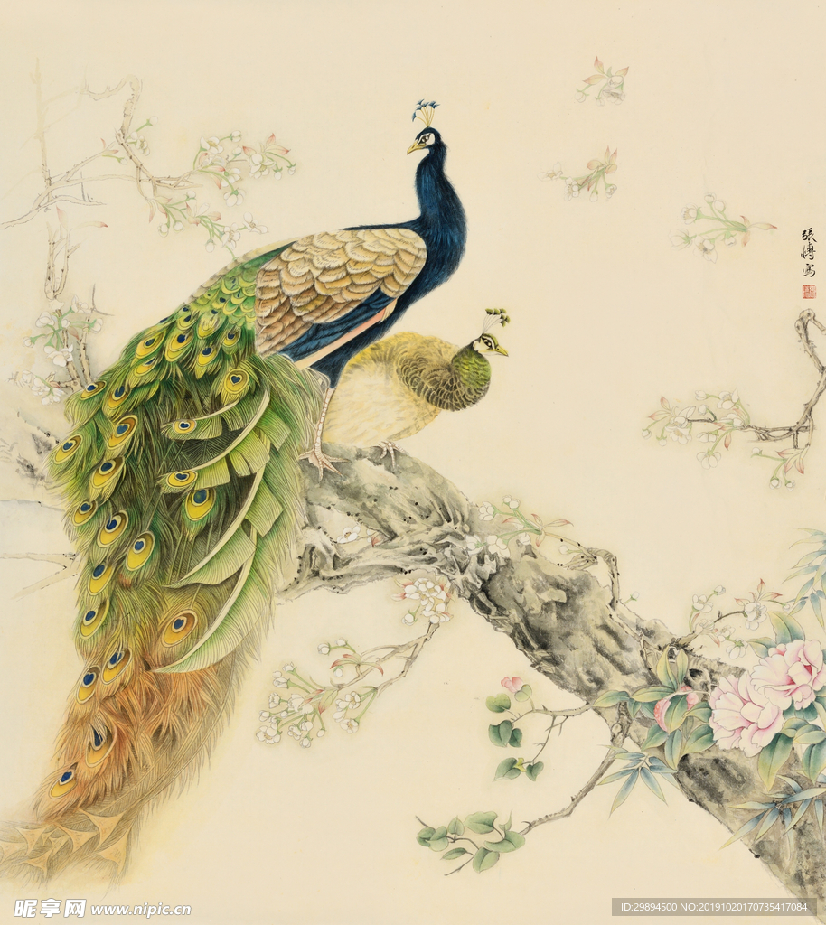 孔雀装饰画