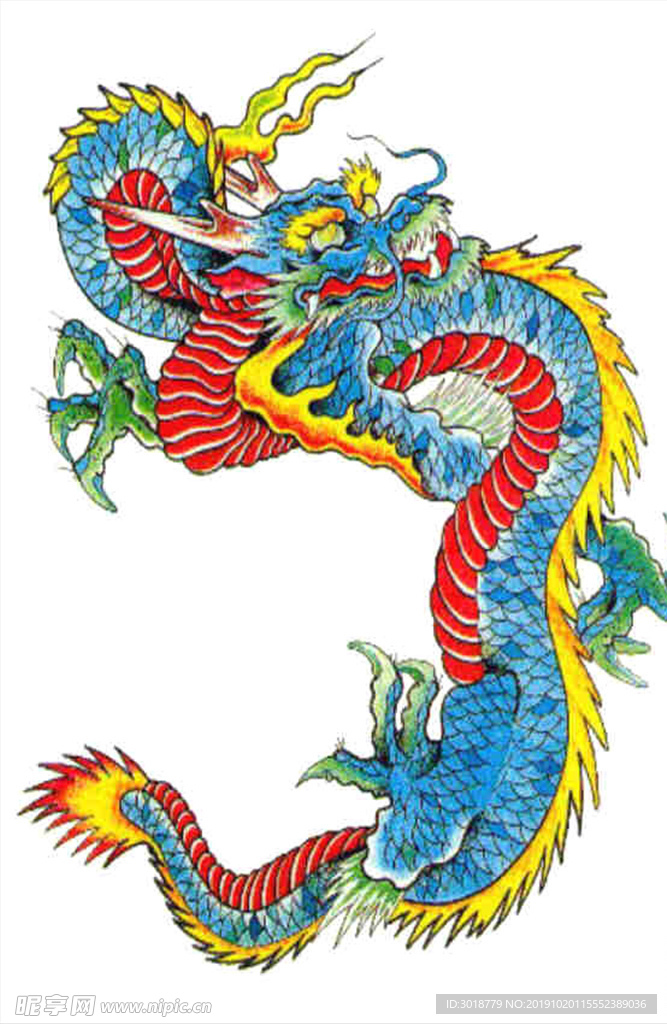 龙