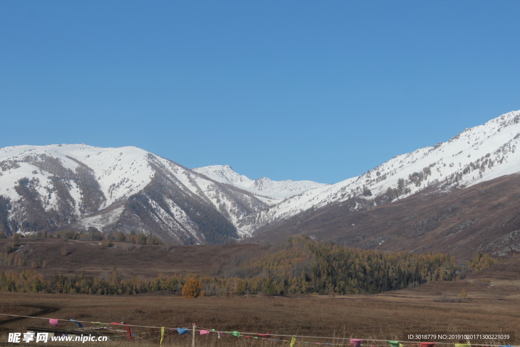 山