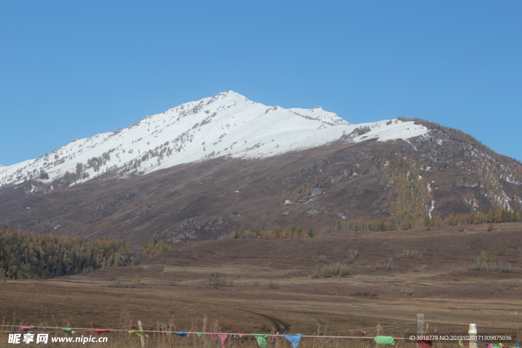 山