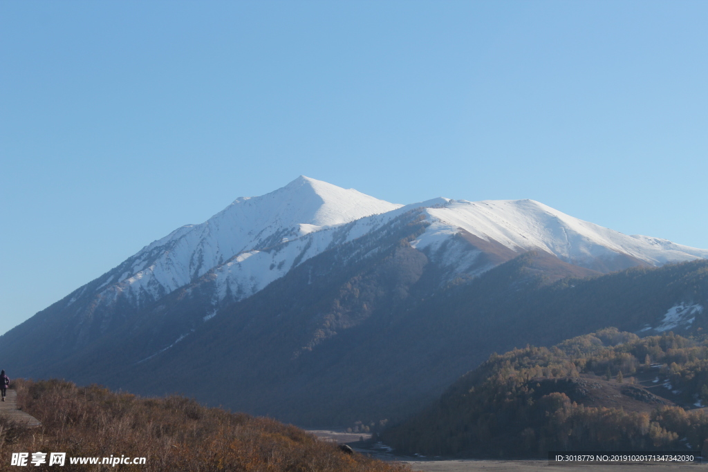 山