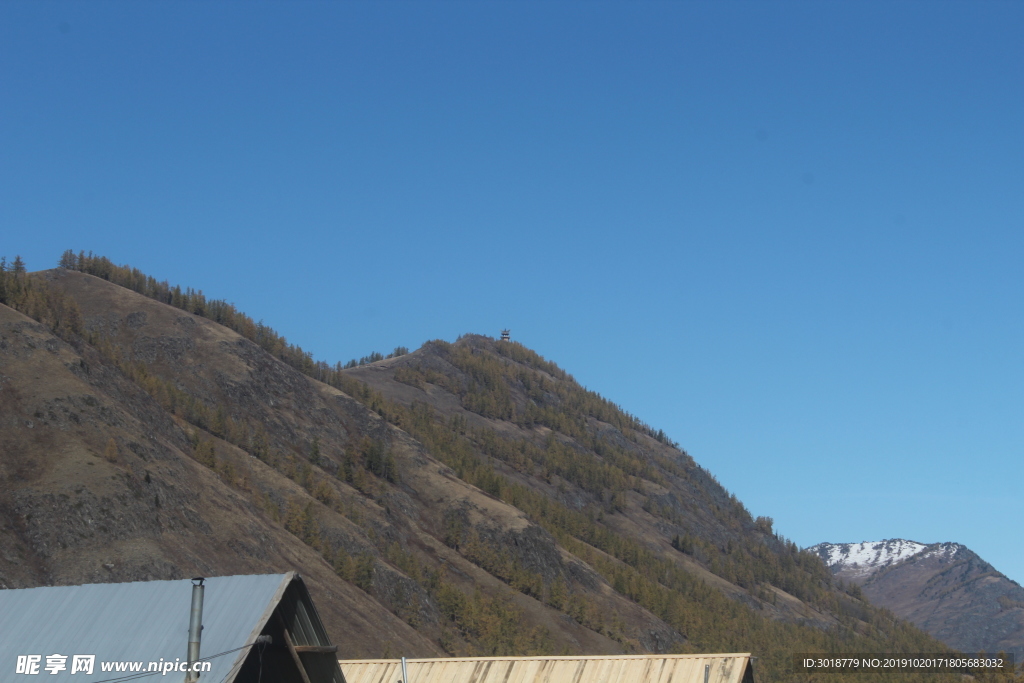 山
