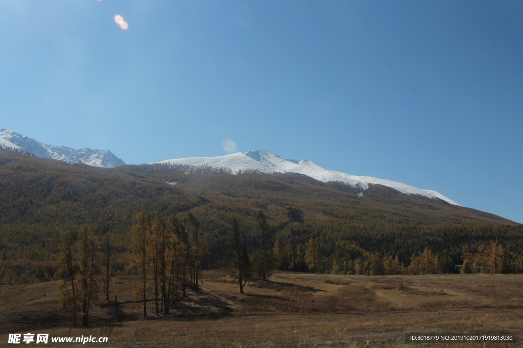 山