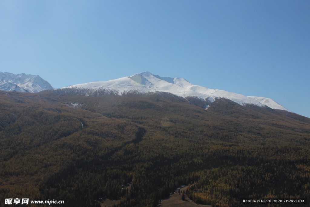 山