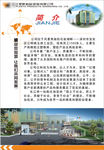 工厂简介