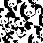 熊猫