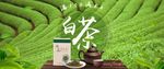 茶园
