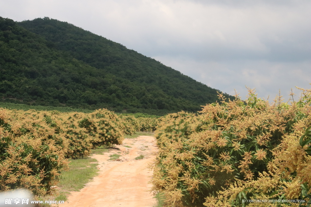 通往财富的路